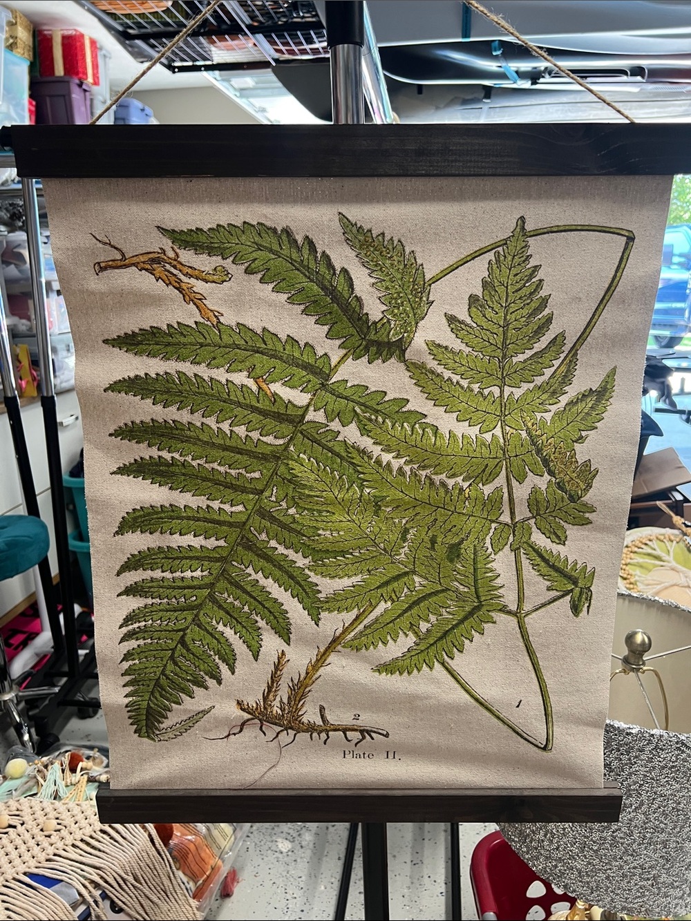 Botanical Fern Wall Hanging - Green Canvas Wall Art